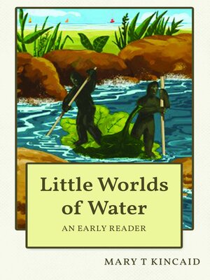 cover image of Little Worlds of Water